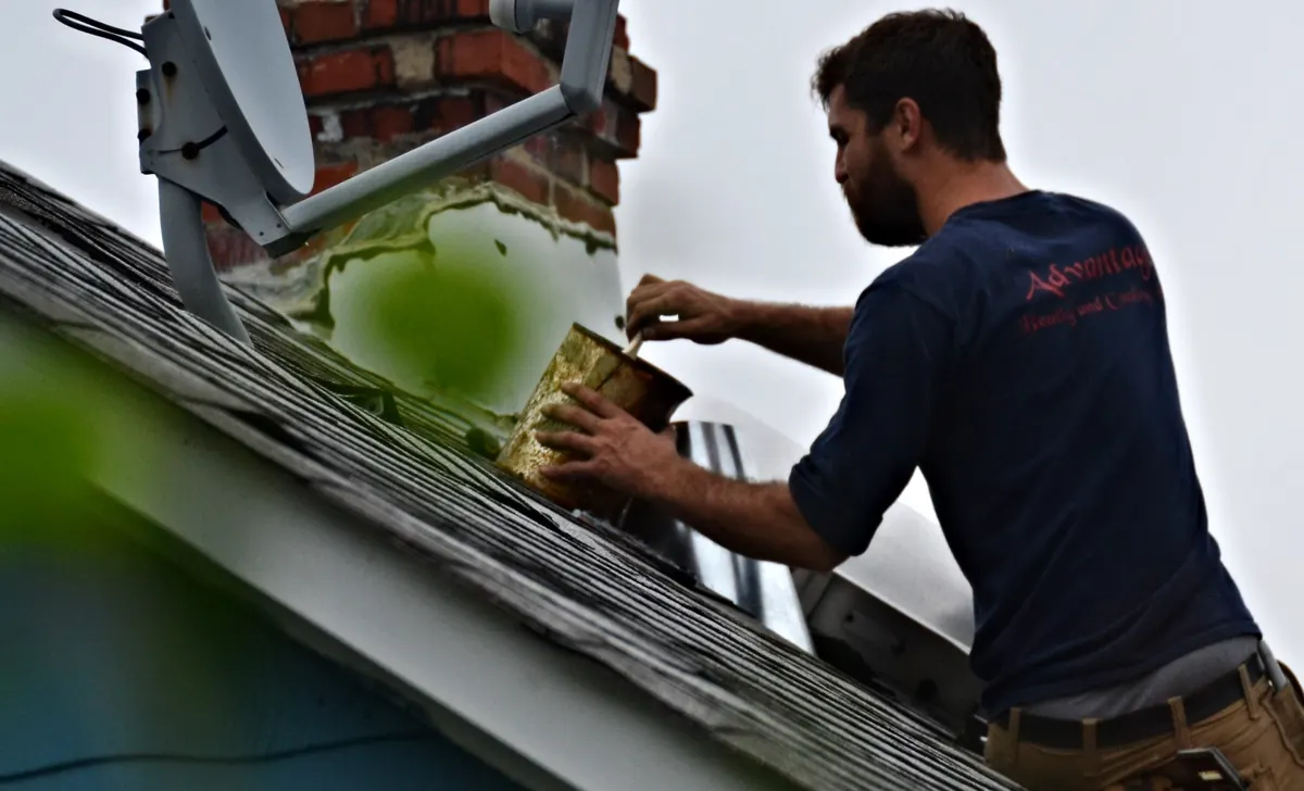 Moos, Algen & Ablagerungen